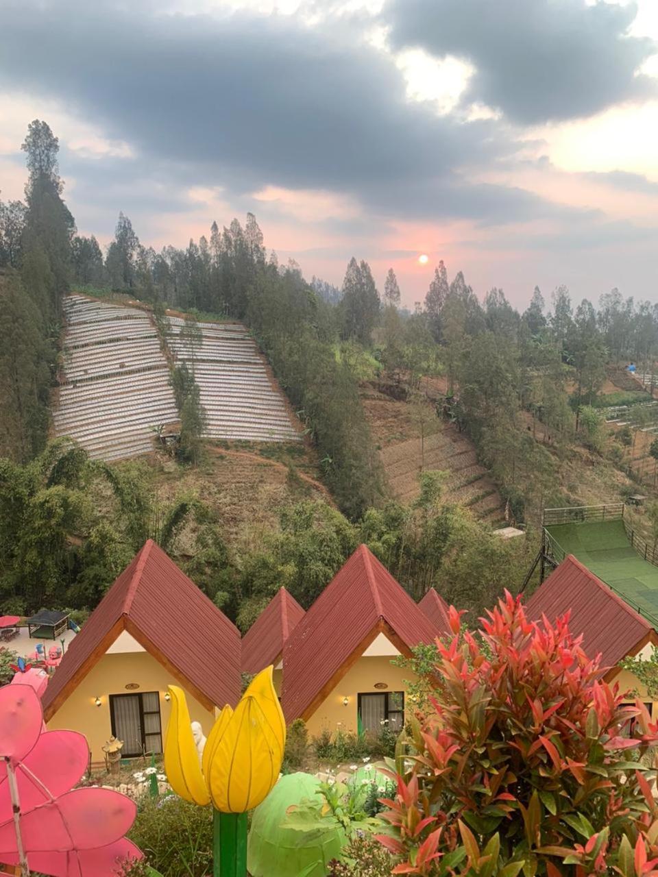 Hotel Nature Bromo And Resort ปาซูรูอัน ภายนอก รูปภาพ