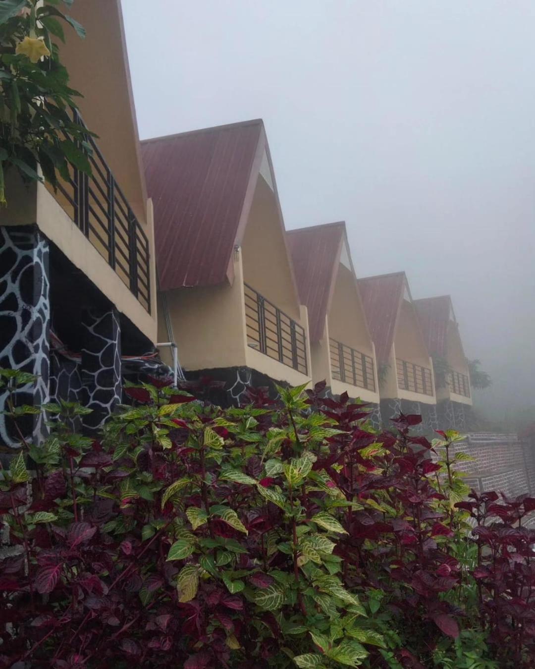 Hotel Nature Bromo And Resort ปาซูรูอัน ภายนอก รูปภาพ